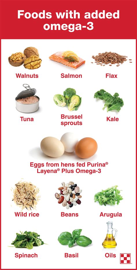 omega 3 rich foods list in india|omega 3 fatty acids list.